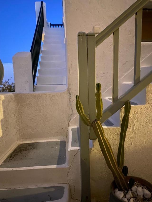 Apartament Opis